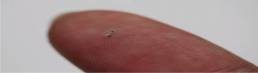 cientistas-criam-robo-microscopico-com-design-perfeito-