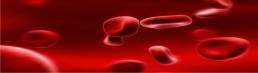 cientistas-usam-nanotecnologia-para-tentar-curar-cancer