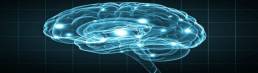 dependencia-de-memoria-digital-esta-prejudicando-memoria-humana-diz-estudo