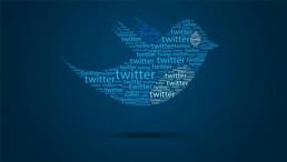 twitter-vai-criar-universidade-para-funcionarios