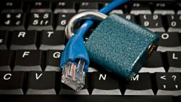 uma-plataforma-quer-evitar-que-seus-dados-caiam-nas-maos-de-hackers-ou-do-governo-